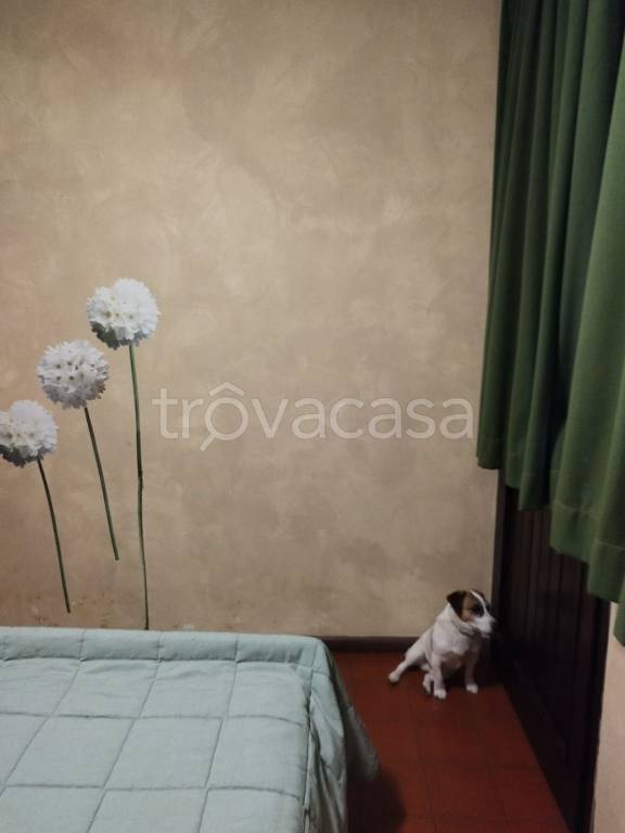 immagine annuncio 9 di 14