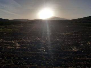 Terreno agricolo all'asta a centuripe località carcaci