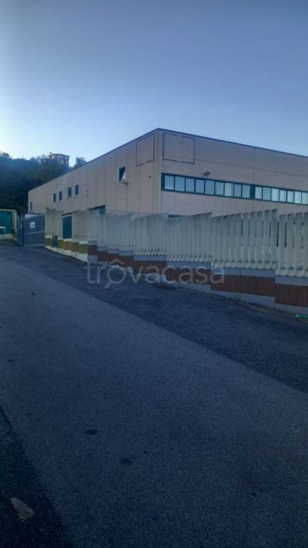 immagine annuncio 5 di 8