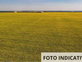 Terreno agricolo all'asta a dignano via delle rive