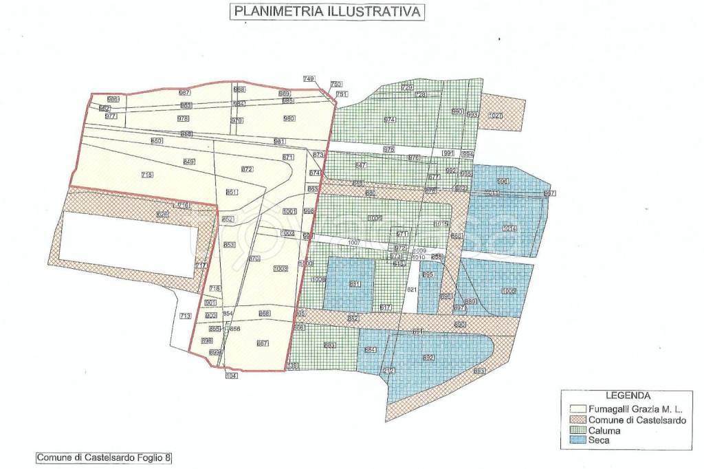 immagine annuncio 13 di 15