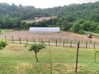 Terreno agricolo in vendita a ferrere via torino