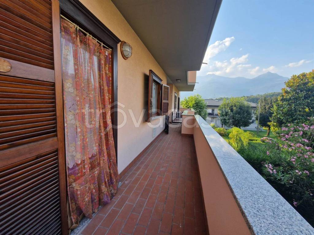 immagine annuncio 4 di 14