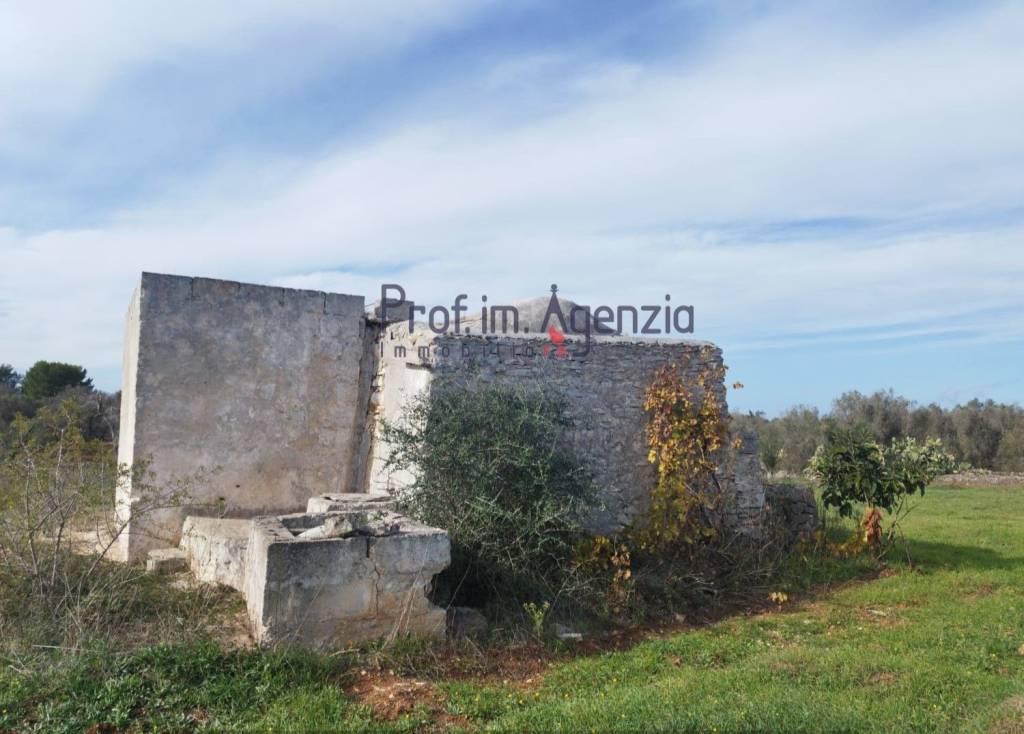 immagine annuncio 2 di 8