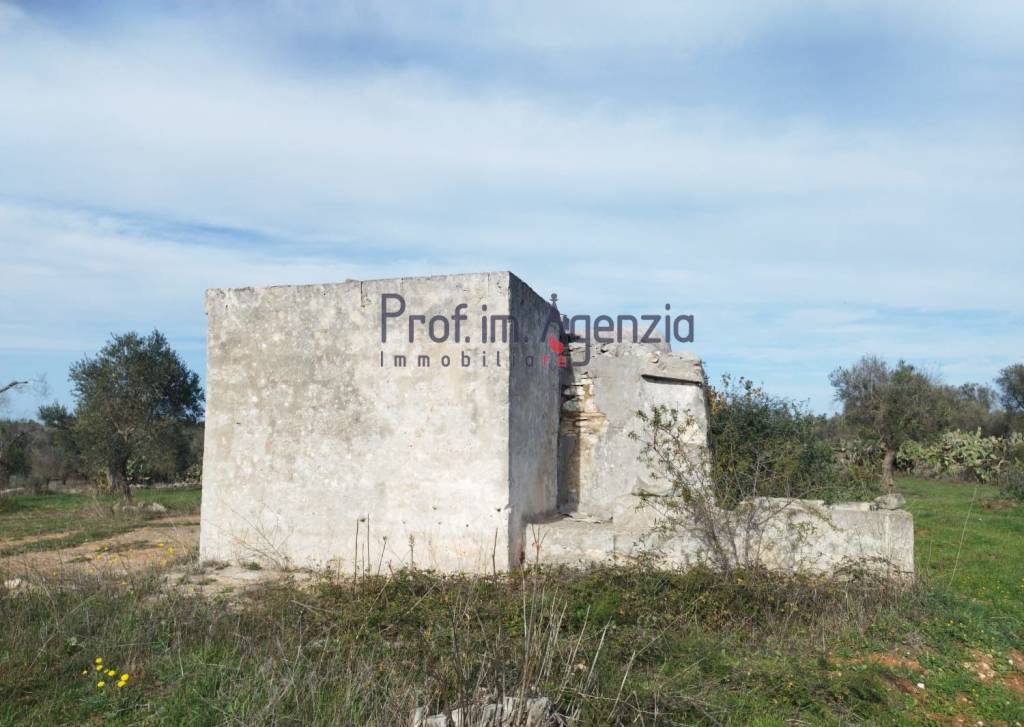 immagine annuncio 3 di 8