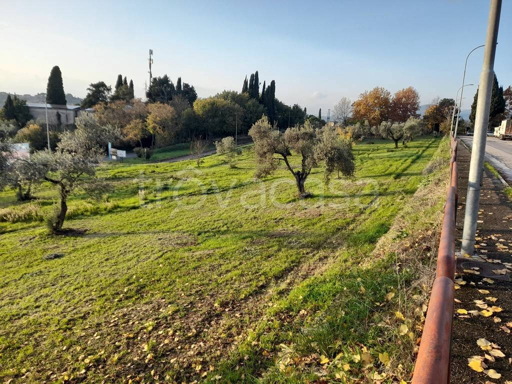 immagine annuncio 3 di 7