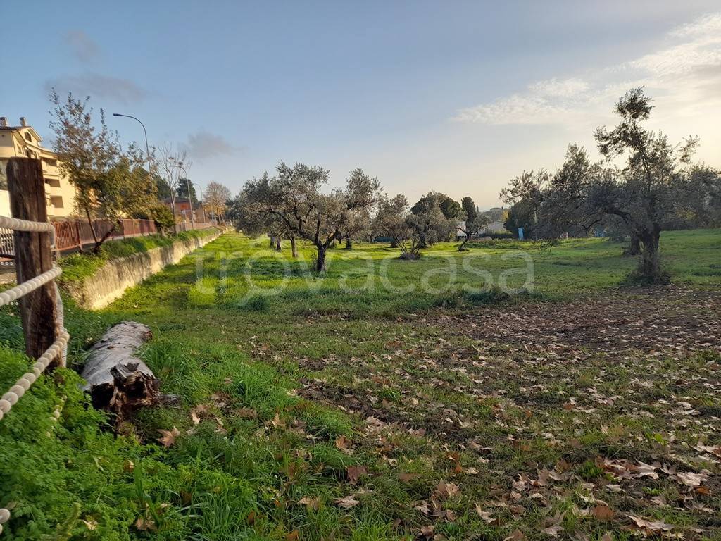 immagine annuncio 4 di 7