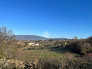 Terreno agricolo in vendita a montecarlo via don minzoni