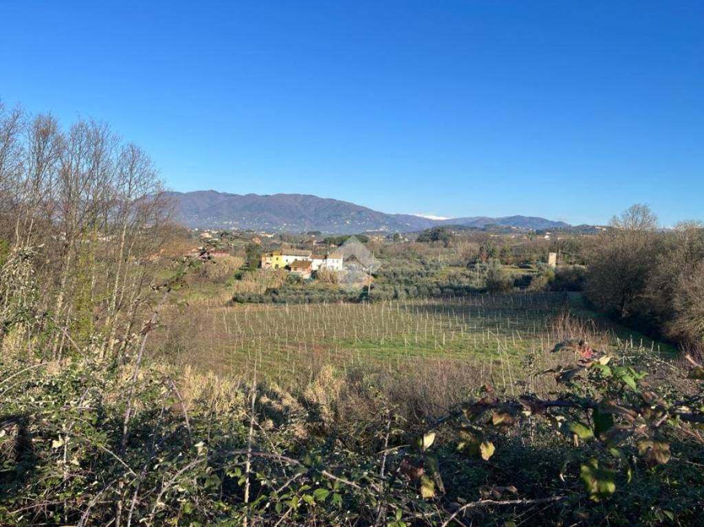 immagine annuncio 5 di 14