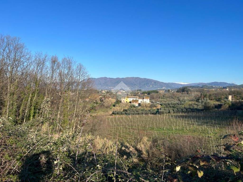 immagine annuncio 6 di 14