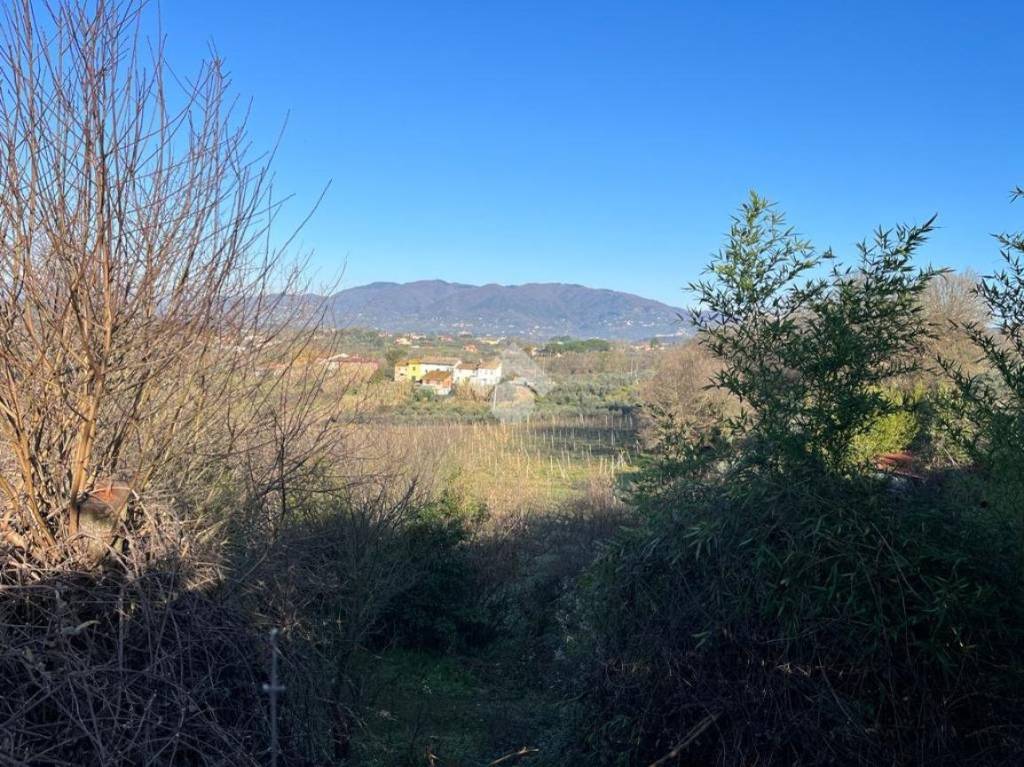 immagine annuncio 8 di 14