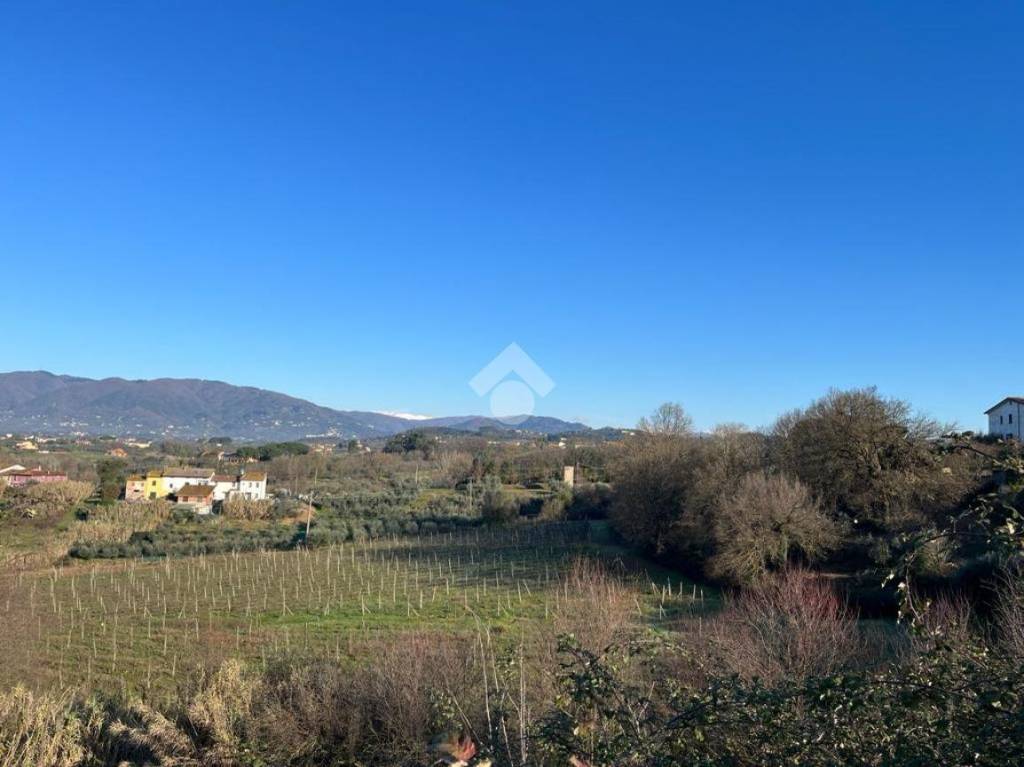 immagine annuncio 10 di 14