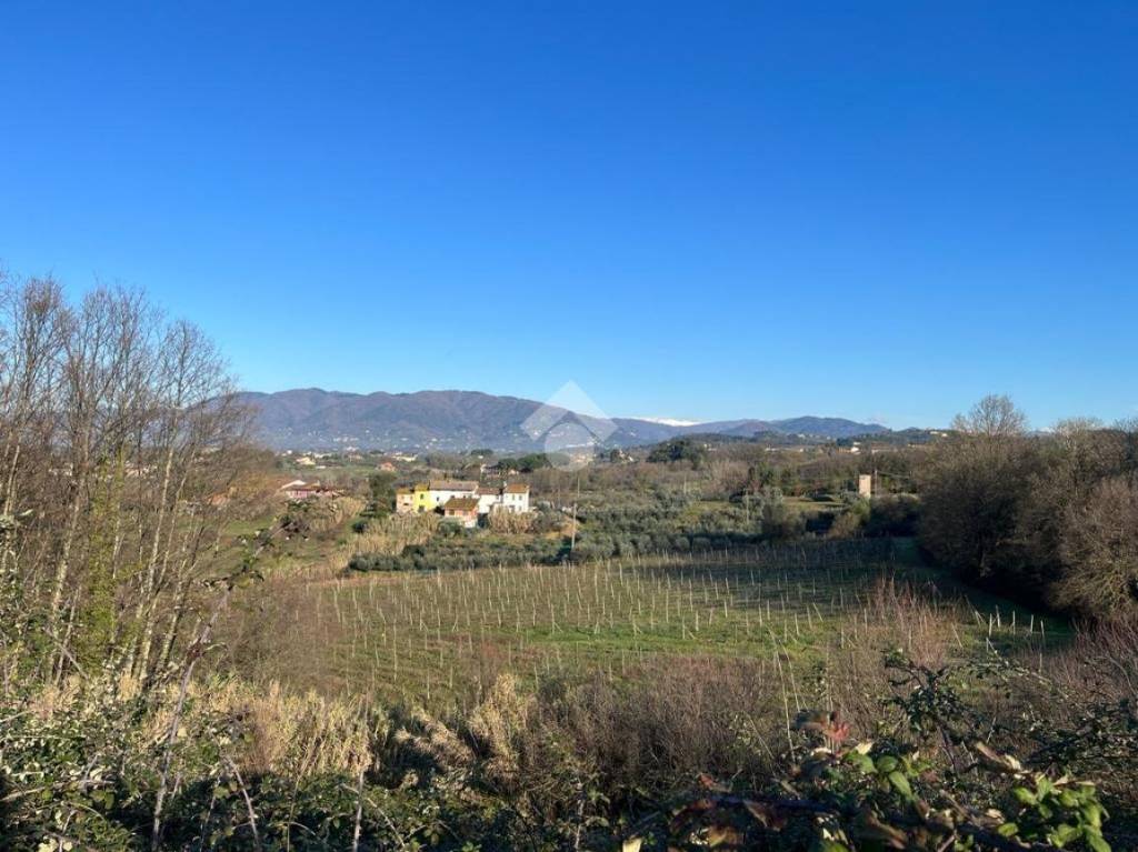 immagine annuncio 11 di 14