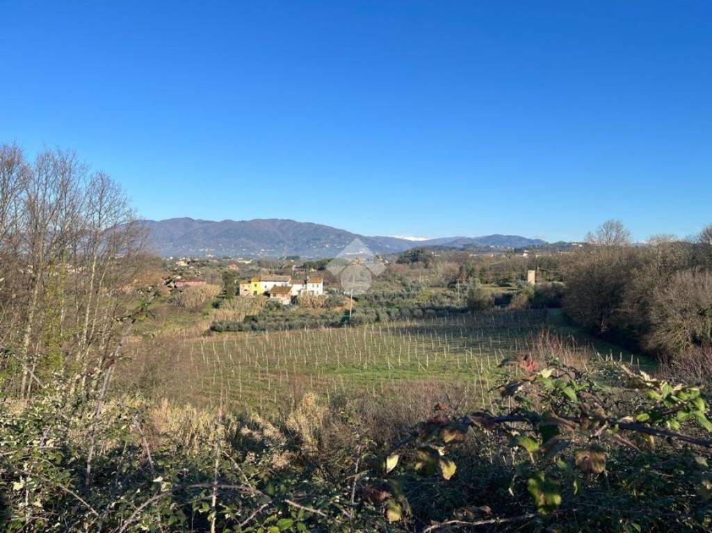 immagine annuncio 12 di 14