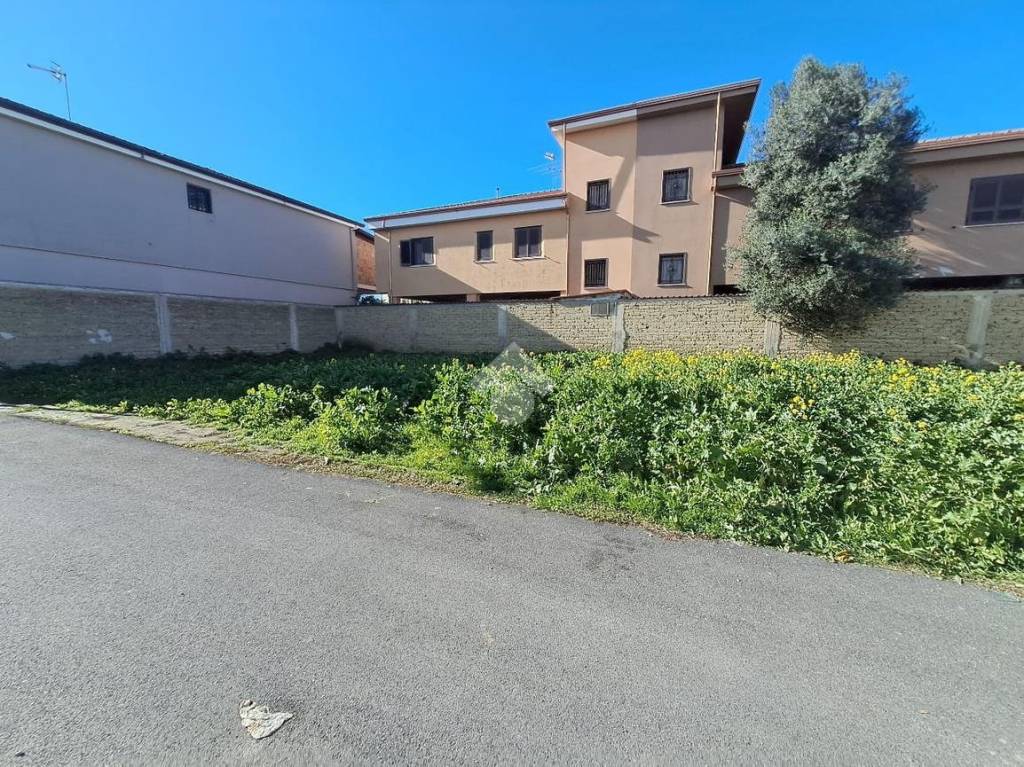 immagine annuncio 10 di 13
