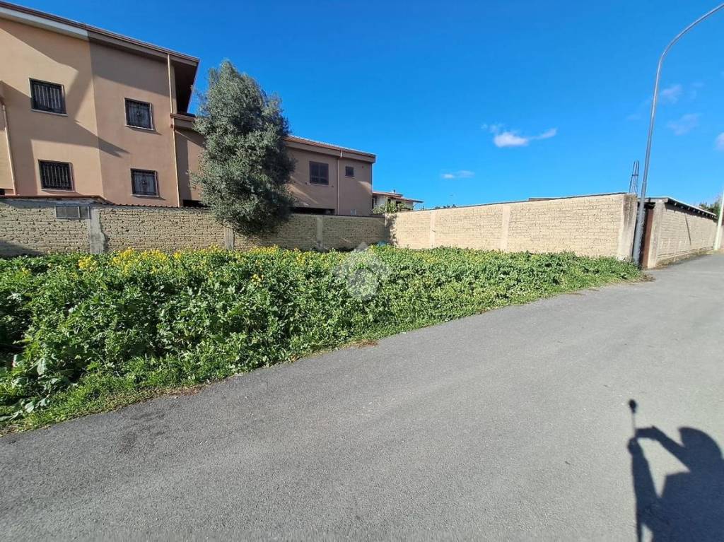immagine annuncio 12 di 13