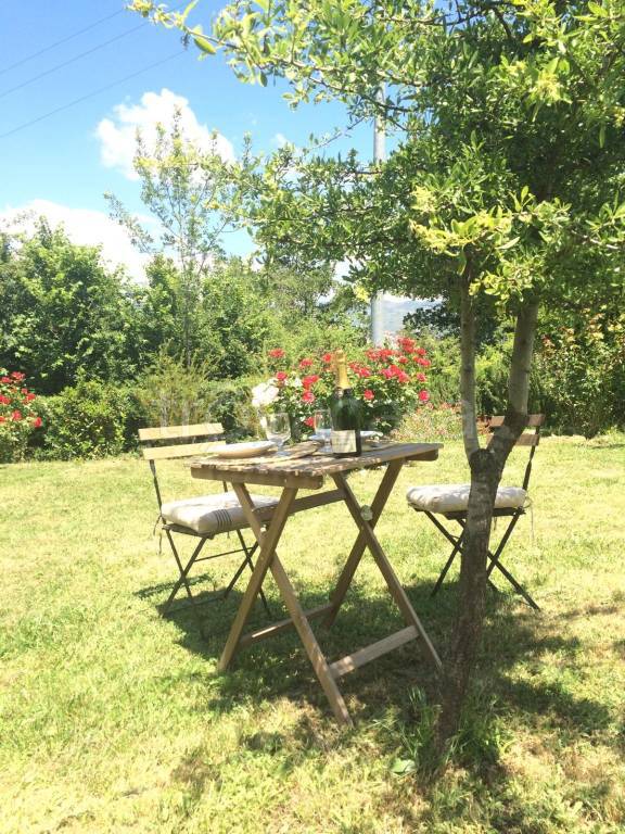 immagine annuncio 4 di 11