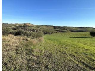 Terreno agricolo all'asta ad appignano del tronto via roma