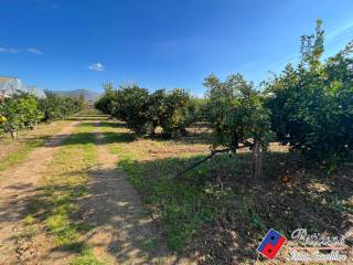 Terreno agricolo in vendita a fondi via fontanelle s. marco