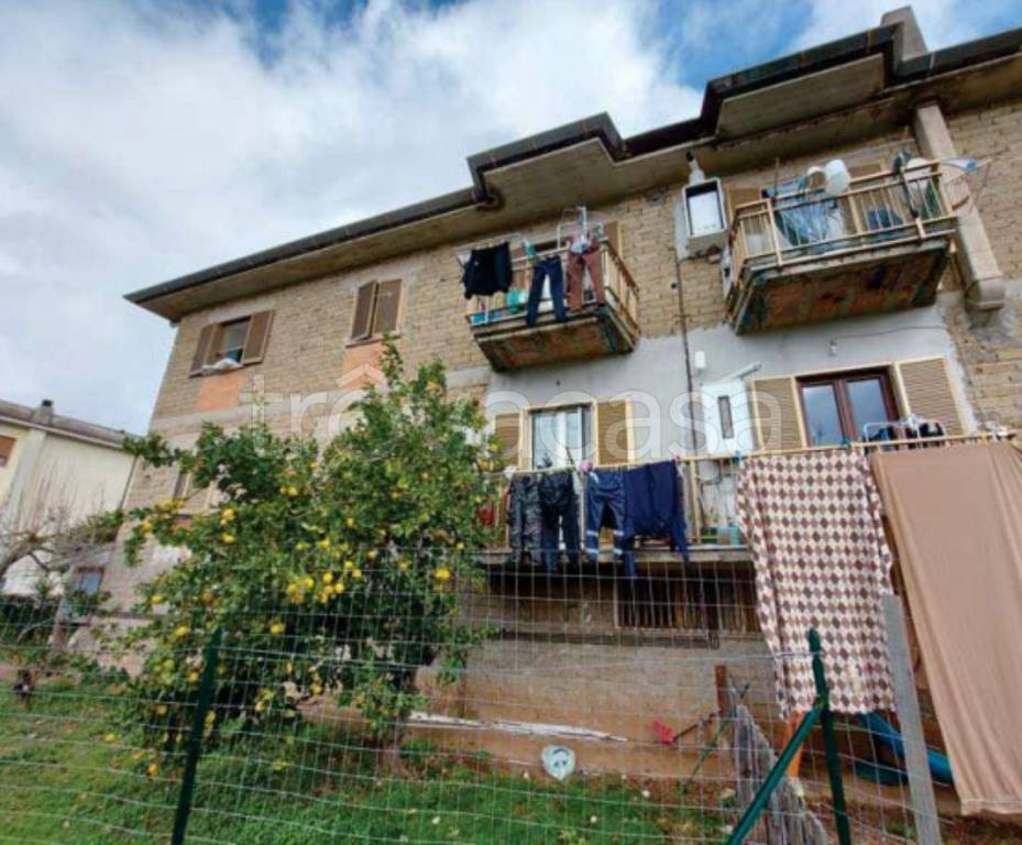 immagine annuncio 4 di 12