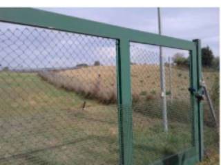 Terreno agricolo all'asta a sant'omero via colle casone