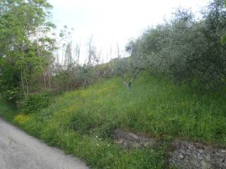 Terreno agricolo in vendita a gambatesa strada interpoderale casavarola