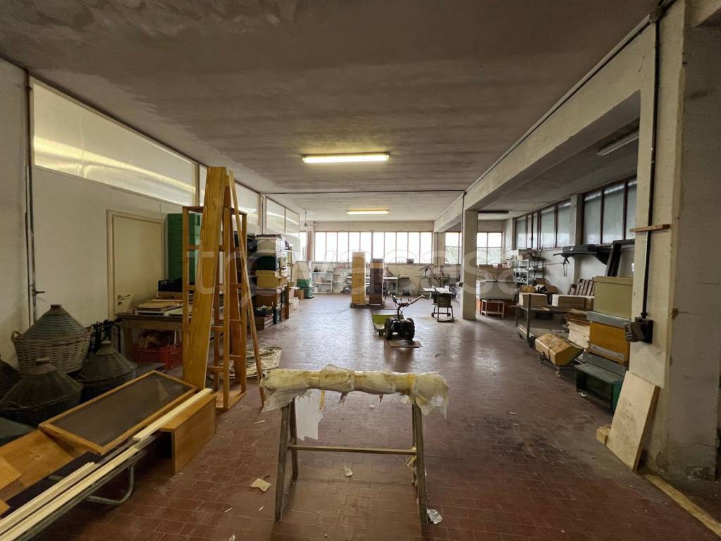 immagine annuncio 9 di 15