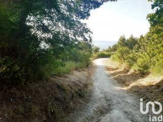 Terreno agricolo in vendita a sirolo via mortarolo, 1