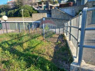 Terreno agricolo in vendita a celle ligure 