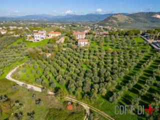 Terreno agricolo in vendita a poggio nativo via archipiglione