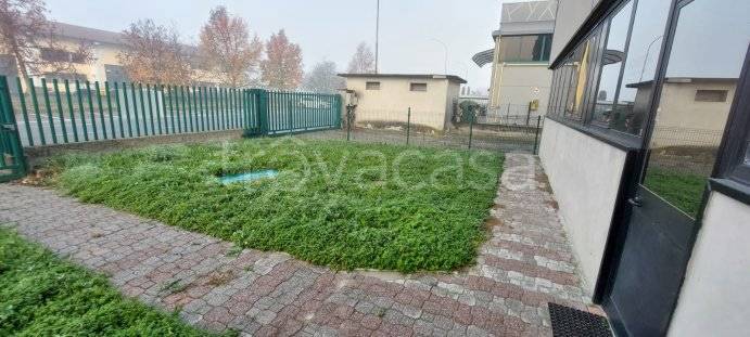 immagine annuncio 9 di 15