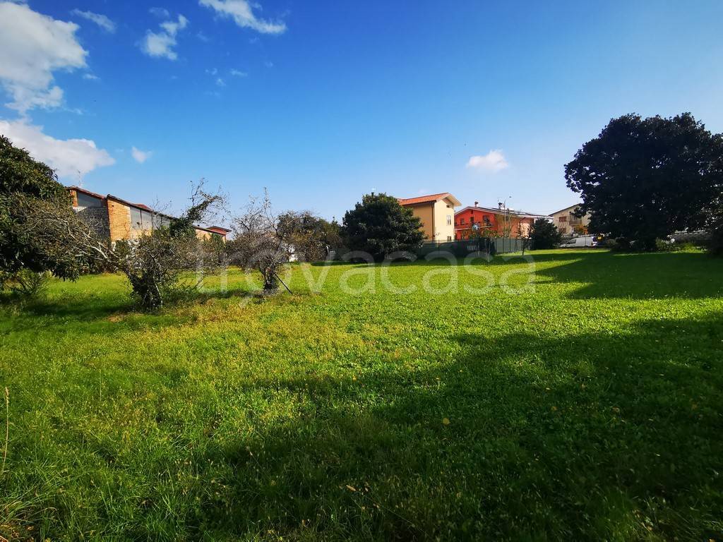 immagine annuncio 12 di 15