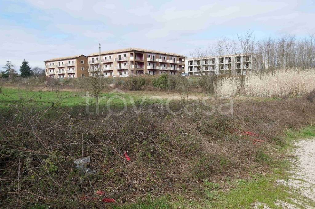 immagine annuncio 3 di 12