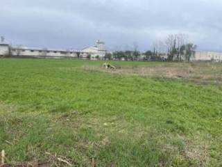 Terreno industriale all'asta a san quirino via dei longobardi