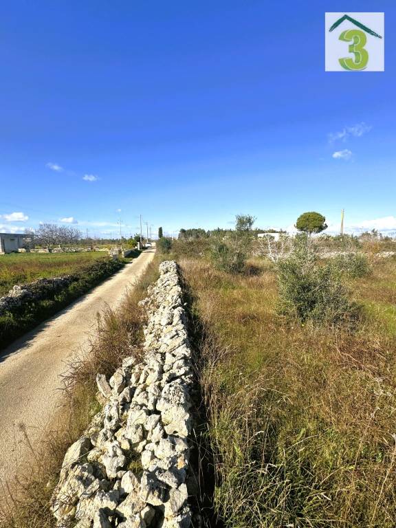 immagine annuncio 7 di 8