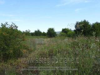 Terreno agricolo all'asta a teano localita' maiorisi