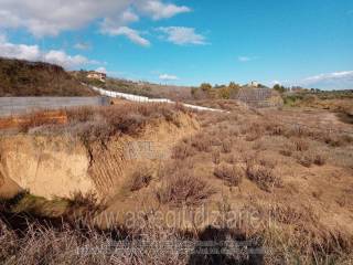 Terreno agricolo all'asta a colonnella c.da vibrata s.p. della civita