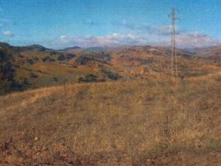 Terreno agricolo all'asta ad agira contrada franceschini