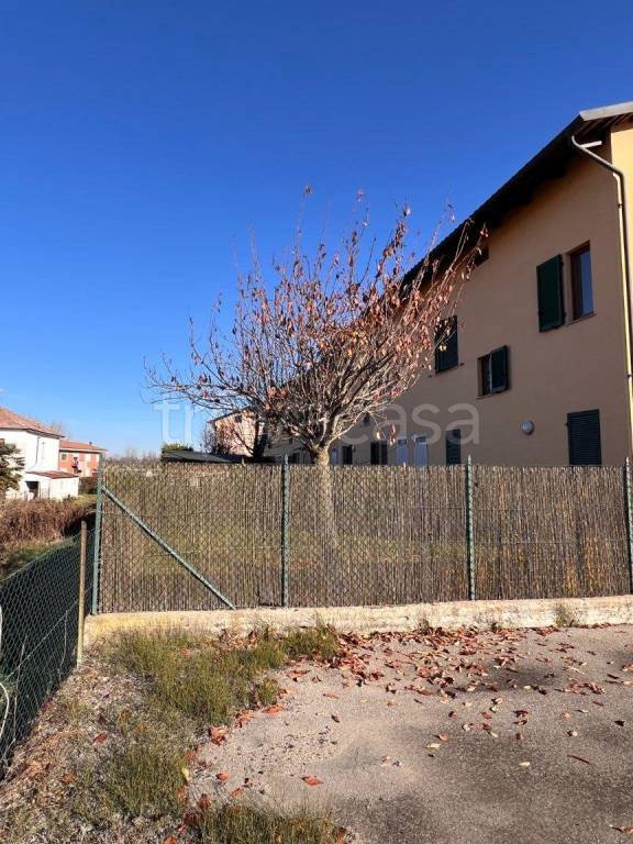 immagine annuncio 10 di 14