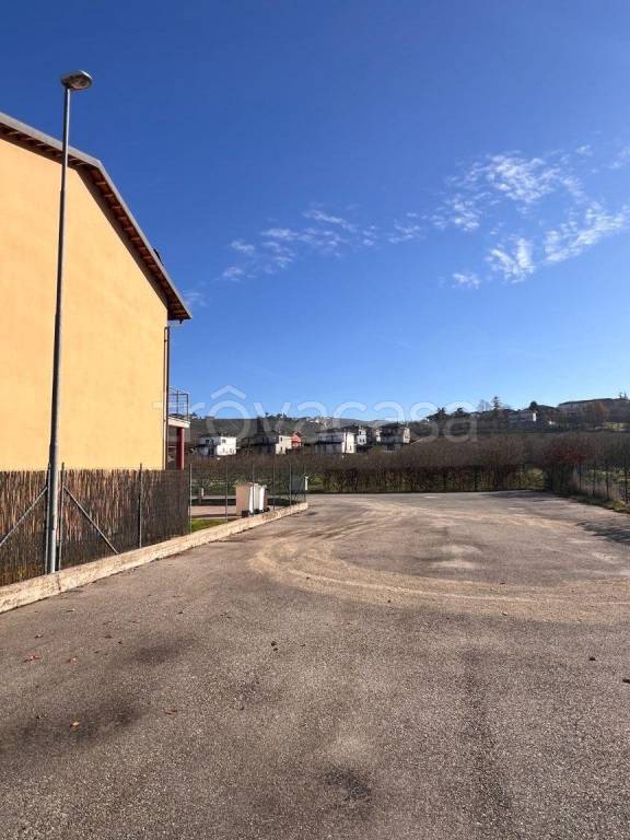 immagine annuncio 12 di 14