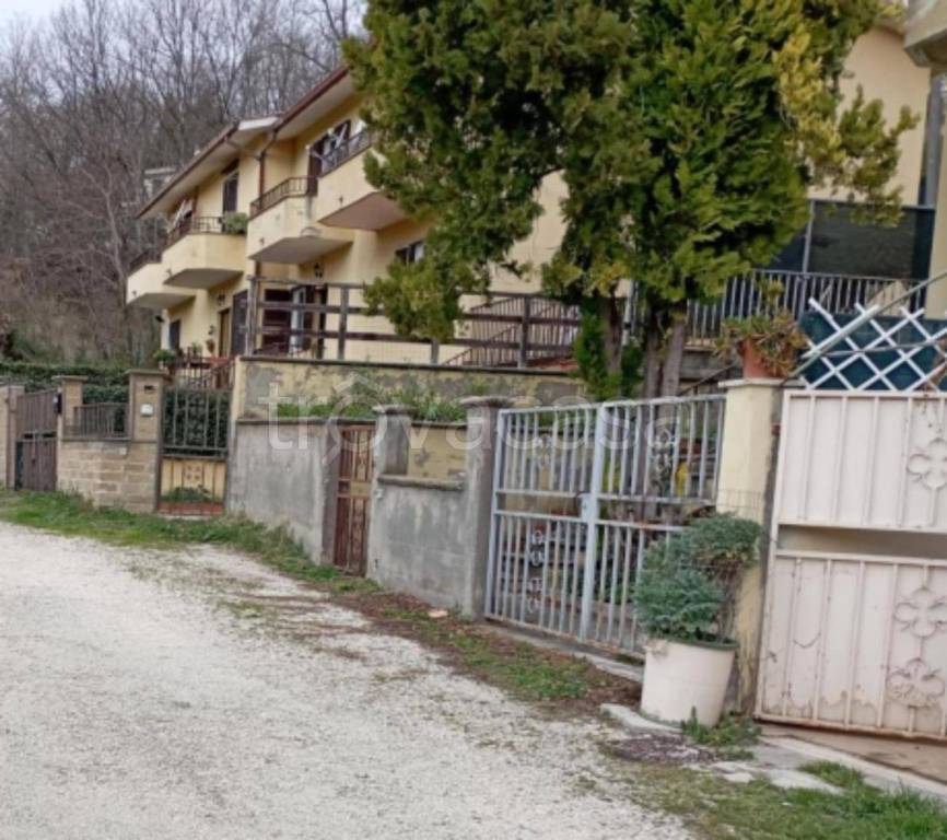 immagine annuncio 4 di 12