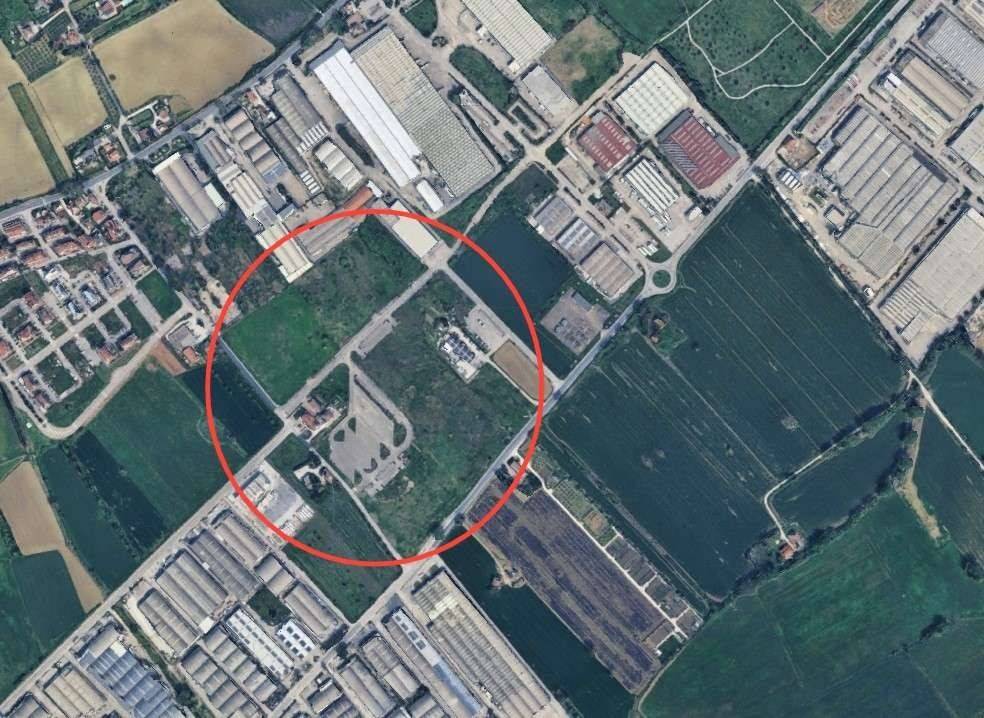 immagine annuncio 9 di 11