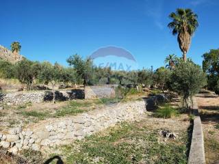 Terreno agricolo in vendita a carini via parisi