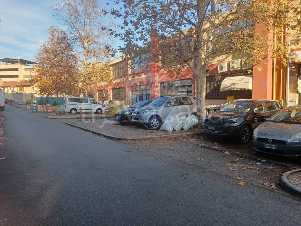 immagine annuncio 12 di 15