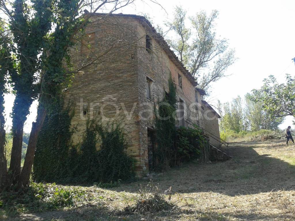 immagine annuncio 3 di 6