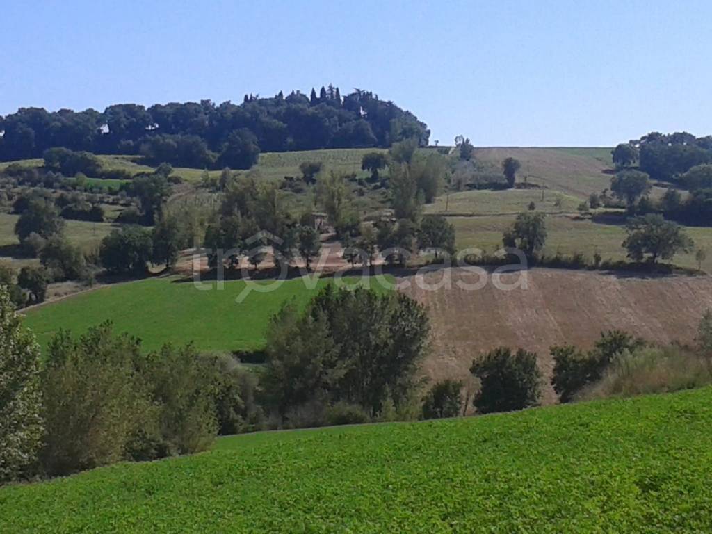 immagine annuncio 4 di 6