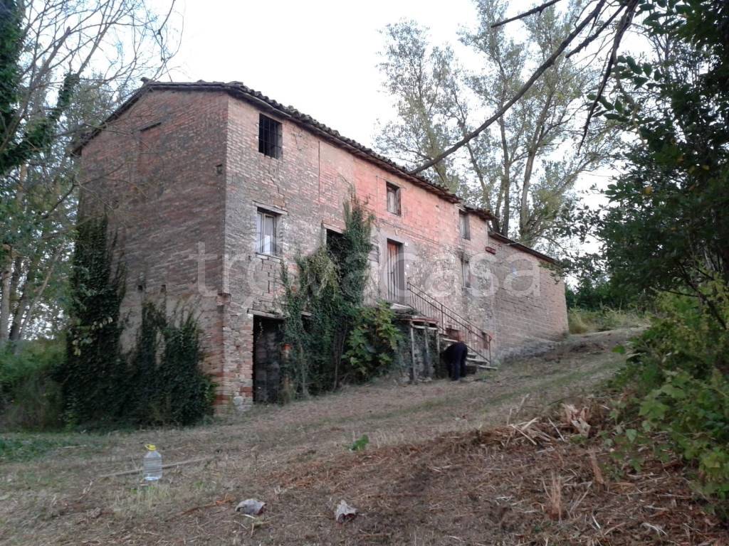 immagine annuncio 5 di 6