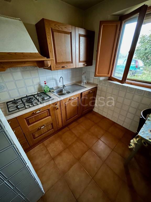 immagine annuncio 5 di 12