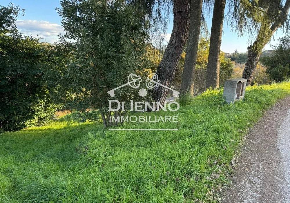 immagine annuncio 5 di 6