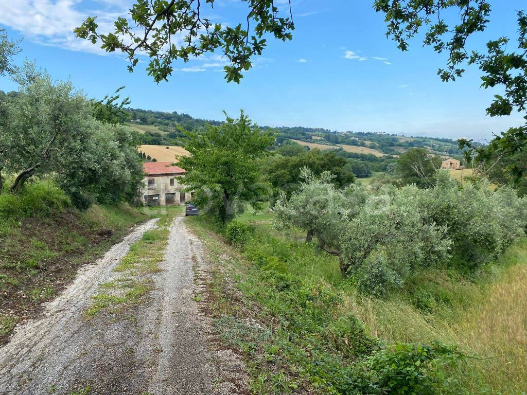 immagine annuncio 3 di 4